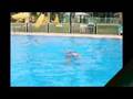 Nachum After Side Above & Underwater
