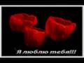 Ahiska *Son Veda*