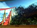 Diamondback No Limits Recreation
