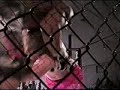 paul willman vs josh smidt
