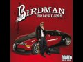 Birdman-Priceless ft. T Pain