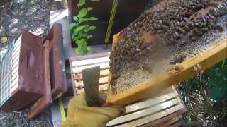 September's Inspection