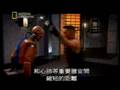 科學看武術泰拳篇