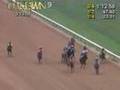 Horse racing oddity: starting gate tractor malfunction