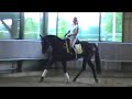 Reiten in der Halle