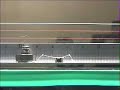 Inchworm microrobot