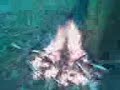 Fire explosion Fire explosion