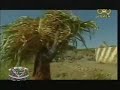 Yemen Ahmaed Al-Synaidar - Al-fala7 Music Video