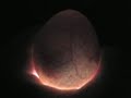 ultrasound picture of a 2 weeks human embyo