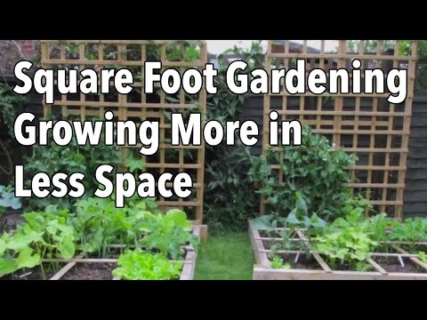 gardening - If you don't have a lot of time available to weed, water and maintain your vegetable garden, then efficient gardening techniques such as Square Foot Gardenin...