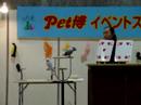 Pet Fair #01