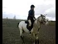 Me & Molly Riding in the snow.. Me & Molly Riding in the snow..