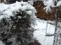 Nevada a Terrassa