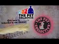 Whispering Horse - The Pet Collective Launching April 24th