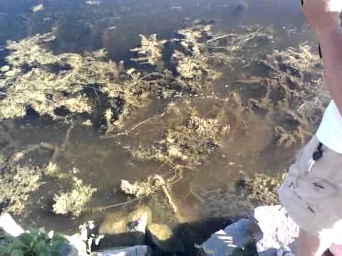 Jeff Kelm - This video was uploaded from an Android phone.