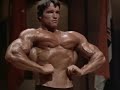 Arnold Schwarzenegger The Best Bodybuilder Ever
