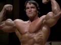 Arnold-Schwarzenegge