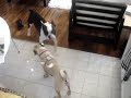 P n B getting aquainted1