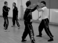 Mantis Kung Fu Applications & Conditioning - Qi Xing Tang Lang Quan Yong Fa he Pai Da Gong