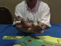 Mr ChipTricks: S.A-Y's Triple Stack Shuffle, Muscle Pass,Common, seen on TV