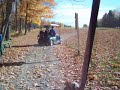 Golf Cart Chase ! Golf Cart Chase !