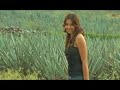 TÚ ME DIJISTE - SAMUEL ROSALES Y SU BANDA SIERRA GRANDE