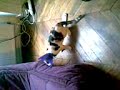 nahla est debile