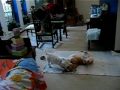 Corgi & Westie Playing