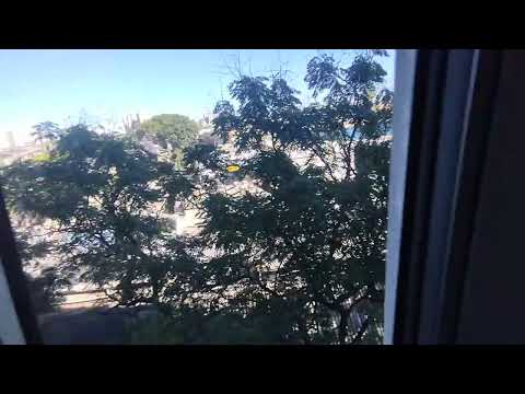 Vídeo