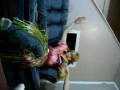 videos de Party Fun