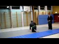 Bujinkan Budo Taijutsu - Training with weapons Bujinkan Budo Taijutsu - Training with weapons