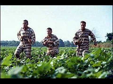 Soggy Bottom Boys-In The Jail House Now