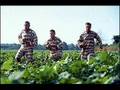 Soggy Bottom Boys-In The Jail House Now