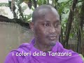 Tanzania - l'Africa superlativa con te dentro! - Sanblas travel - agenzia viaggi - San Polo, Brescia