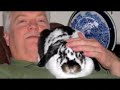 I GoodSearch for The Rabbit Haven