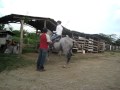 Jocoso?bello caballo:YouTube������=27��