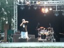 [DIRECTO] Zotas y Losh - Flores de Papel