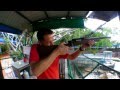 Shooting for Tigers in Thailand