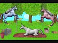 My random video