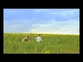 Poh�dka - trailer 2008