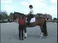 Jane Savoie and Ruth Poulsen's Dressage Tip for the Canter