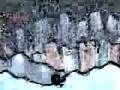 Radiohead - Untitled (Amnesiac Blip)