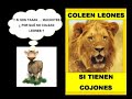 Toros Coleados