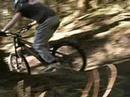 dalby forest DH/freeride