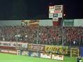 Widzew Łódź - Stilion Gorzów, Moja jedyna miłość
