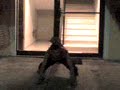 beast duplication style jutsu dominican way
