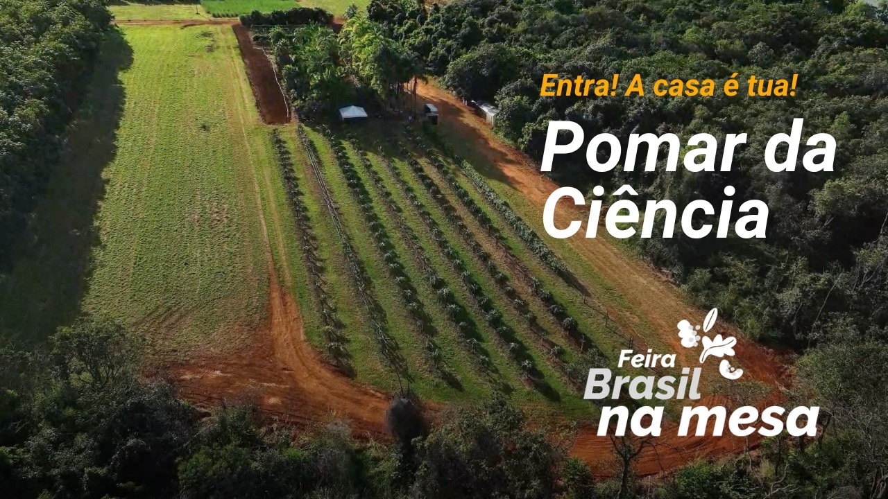 5) Pomar da Ciência - Feira Brasil na Mesa