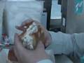 Food Philosophy Video #3: Crab Rolls at Fisherman's Wharf