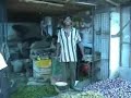 cochin melons
