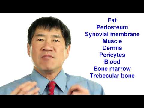 how to isolate mesenchymal stem cells